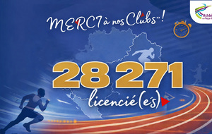 RECORDS DE LICENCIES